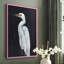 Calm Great Egret I, reproduction encadrée - bois massif-71950702-71950710