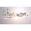 Planter-241596221