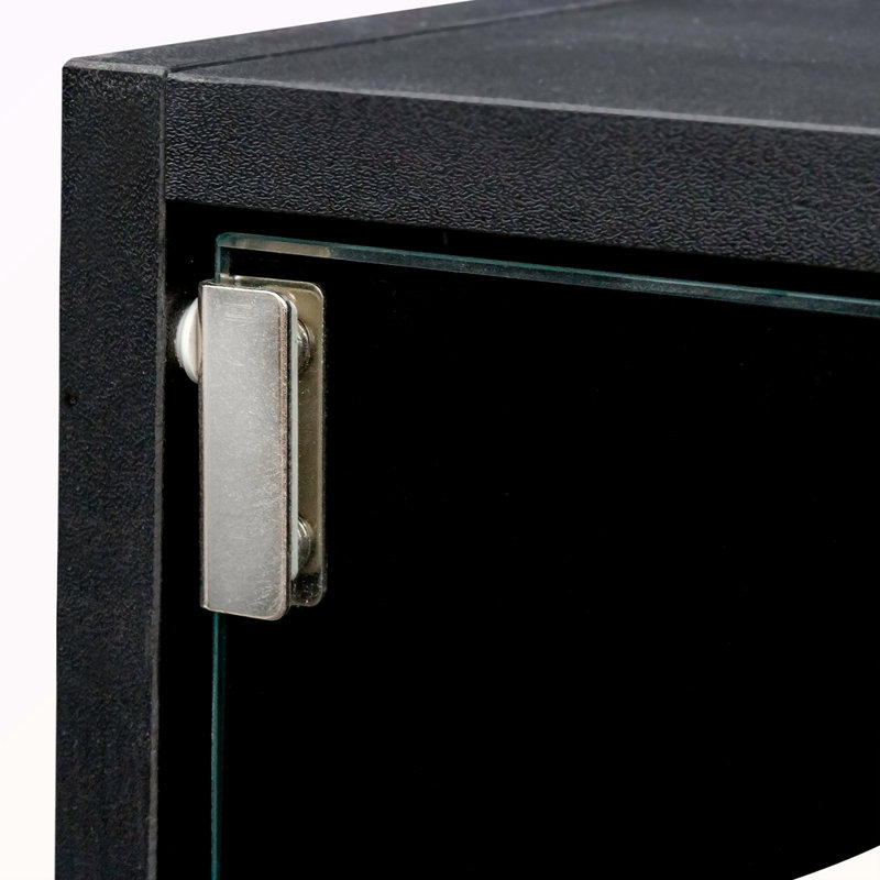 Armoire de rangement pour chaussures avec porte en verre