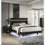 Ensemble de chambre à coucher grand lit 3 pièces noir moderne avec dessous de lit à DEL, bordure acrylique | Bois d'ingénierie, métal | Lits standard