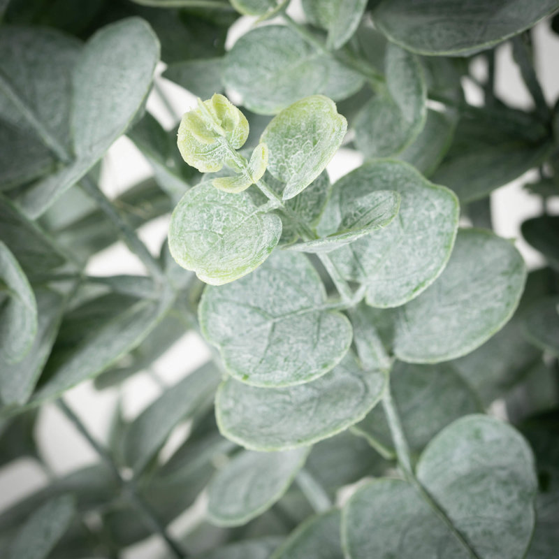 Arbre d'eucalyptus artificiel en pot H 31,5 po; vert