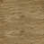 Stripped Brown Chestnut selected