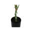 Plante artificielle