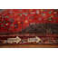 Tapis traditionnel 5 x 9
