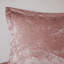 Ensemble de housse de couette en velours simple / simple TG avec coussin décoratif-117486645-117486641