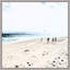 Holiday Dreams 4 Print by Thom Filicia
