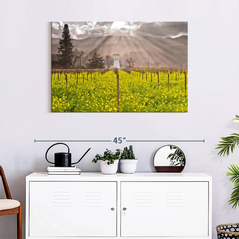 Vignes de Napa Valley, H 24 po x l 36 po