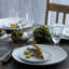 Teck 11" White Dinner Plates