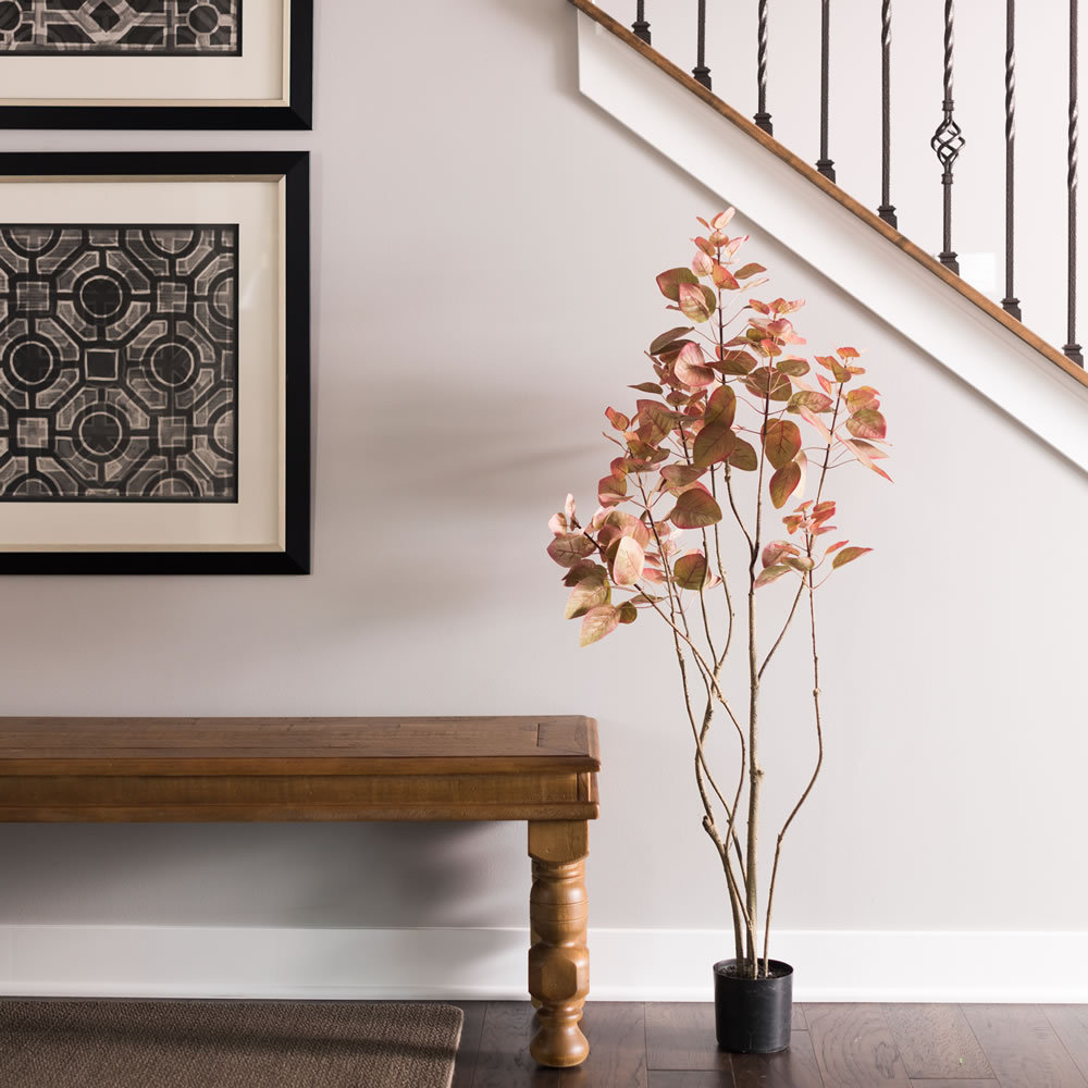 48" Cotinus Coggygria Tree in Pot, Red