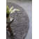 Solid Colour Machine Woven Brown Area Rug