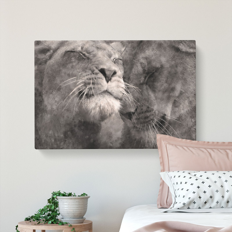 Pair Of Loving Lions - Wrapped Canvas, 50cm H x 76cm W x 3cm D
