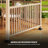15Ft Hexagon Fir Wood Gazebo With Solar LED Light And Fence