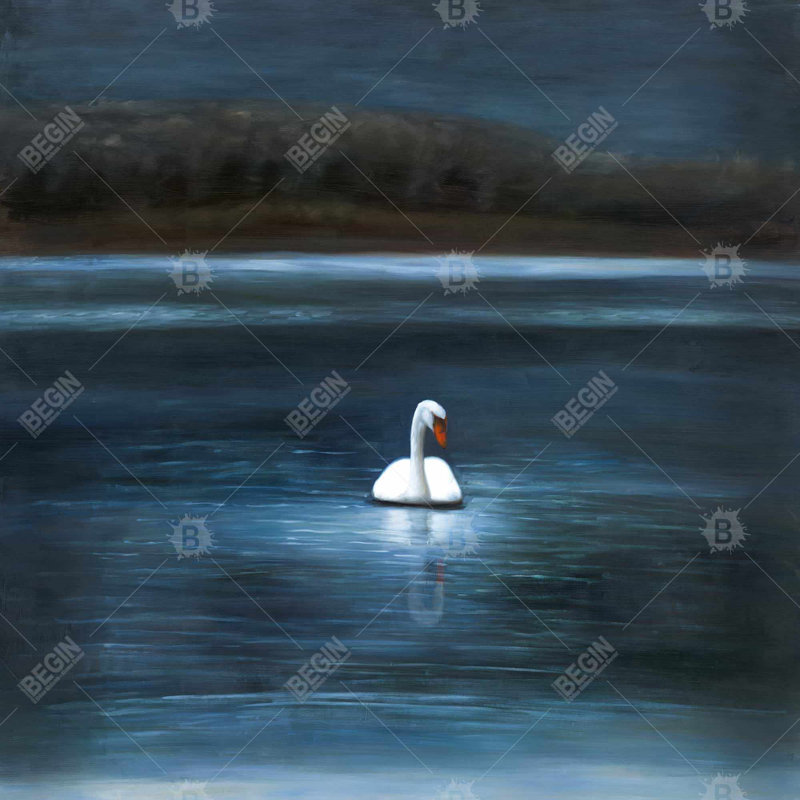 " Beautiful Swan "