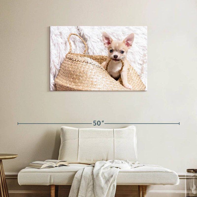 Rowdy Chihuahua, 24" H x 36" W