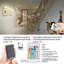Daemar Chrome Swing Arm Sconce