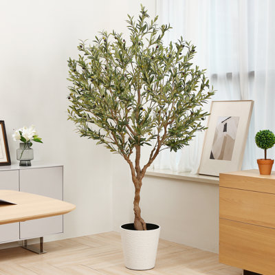 Adcock 84" H Floor Olive Tree in Pot
