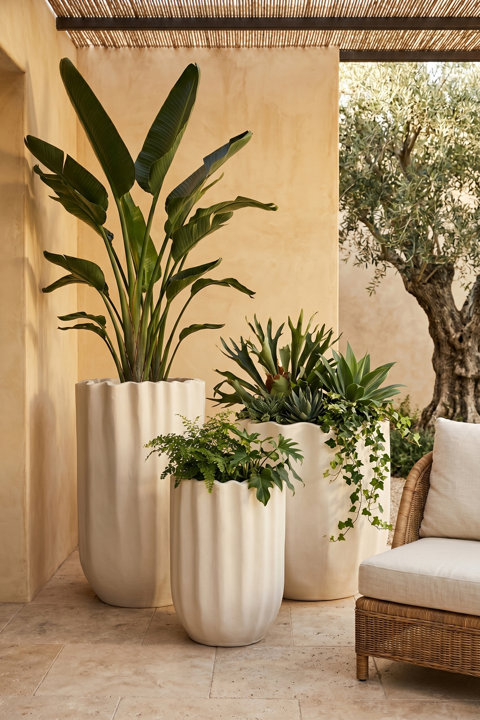 Planters