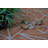 Diederich Geometric Rust Area Rug-591820405
