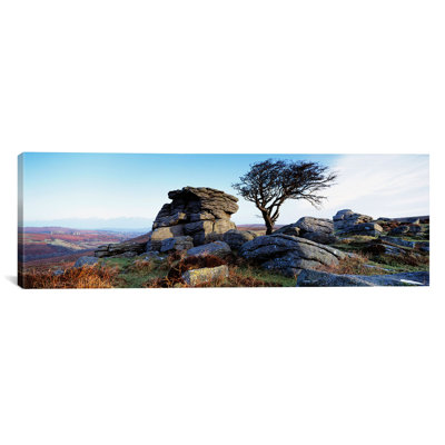 «Panoramic Bare Tree Near Rocks, Haytor Rocks, Dartmoor, Devon, England» par Panoramic Images - Impression sur toile tendue sur châssis