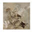 Beauty II Print by Jennifer Hollack-26728859-26728863