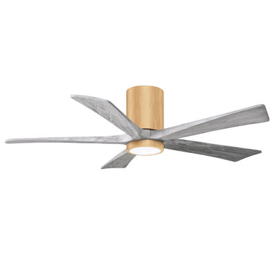 Irene Ceiling Fan with LED Light Kit