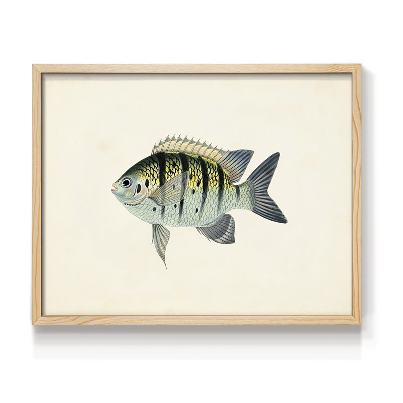 Tropical Fish Collection VI -Framed Print - Restickable, H 8 po x l 10 po, Naturel