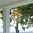 Alexavier Outdoor Hanging Lantern-809966417