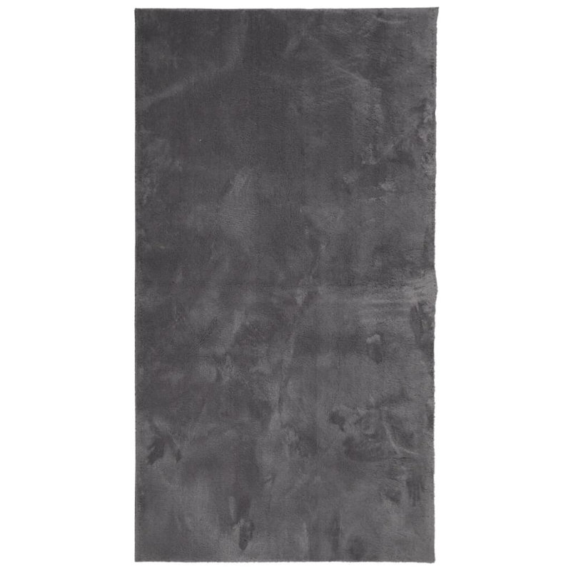 Rug "HUARTE" Short Pile Soft and Washable Anthracite, Rectangle 60 x 110cm