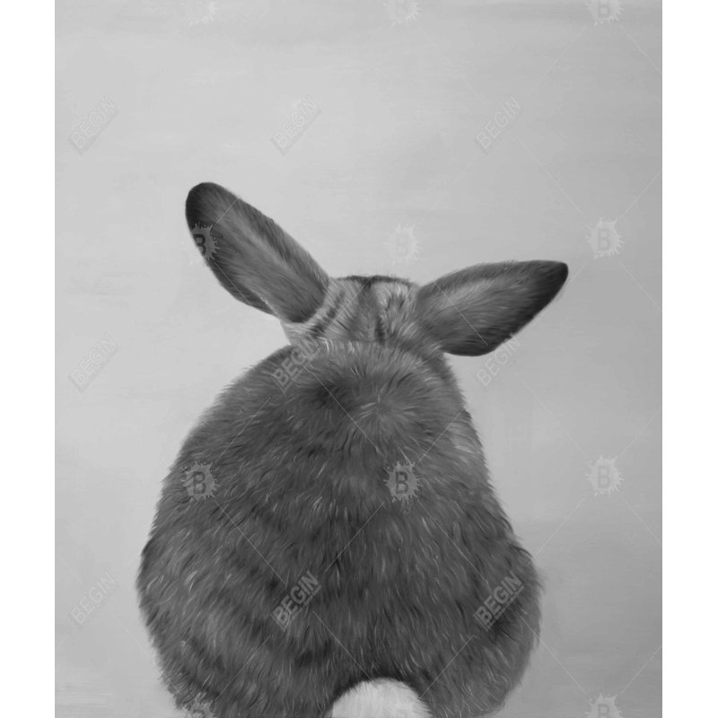 Little rabbit from behind Black Pets duvet cover | Home decor