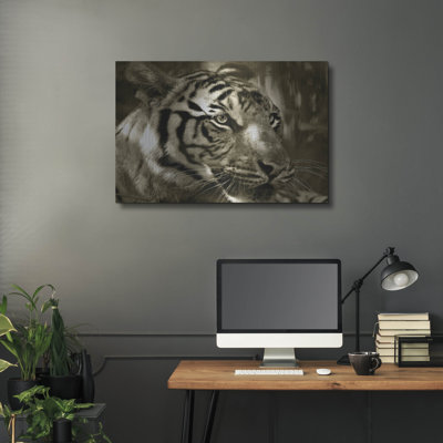 Focus par Dana Brett Munach