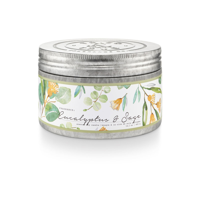 Bougie Tanger & True Eucalyptus, Boîte de conserve argentée 14,1 oz