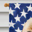 Polyester à 2 côtés 28 x 40 po drapeau maison-1879434657