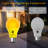 DTD Bug Light Bulb-4-135241236