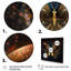 Art mural animal sur toile, papillon, décor nature - papillon magique éthéré II-93335923