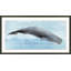 Oceans Majesty 3 Print