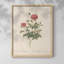 Imprimé floral rétro CLX III - impression encadrée-458933839-458933838