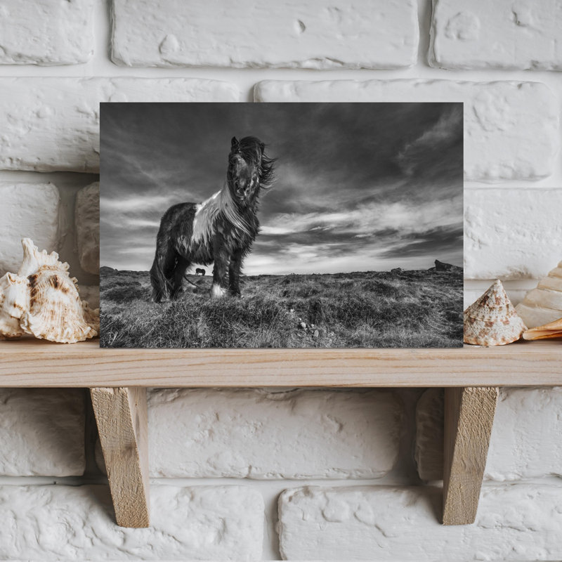 Windswept Wild Horse Dramatic Abstract Contemporary Horse Landscape Nature Wall Art Print 1 Piece Wrapped Canvas Wall Art