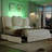 Kraus Velvet Upholstered Platform Storage Bed with LED Lights-1177717797