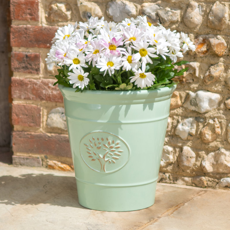 Dinardo Pot Planter, Green, 41cm H x 40cm W x 40cm D