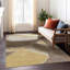 Tapis abstrait lavable à la machine intérieur / extérieur ACN2571-709900226-709900227