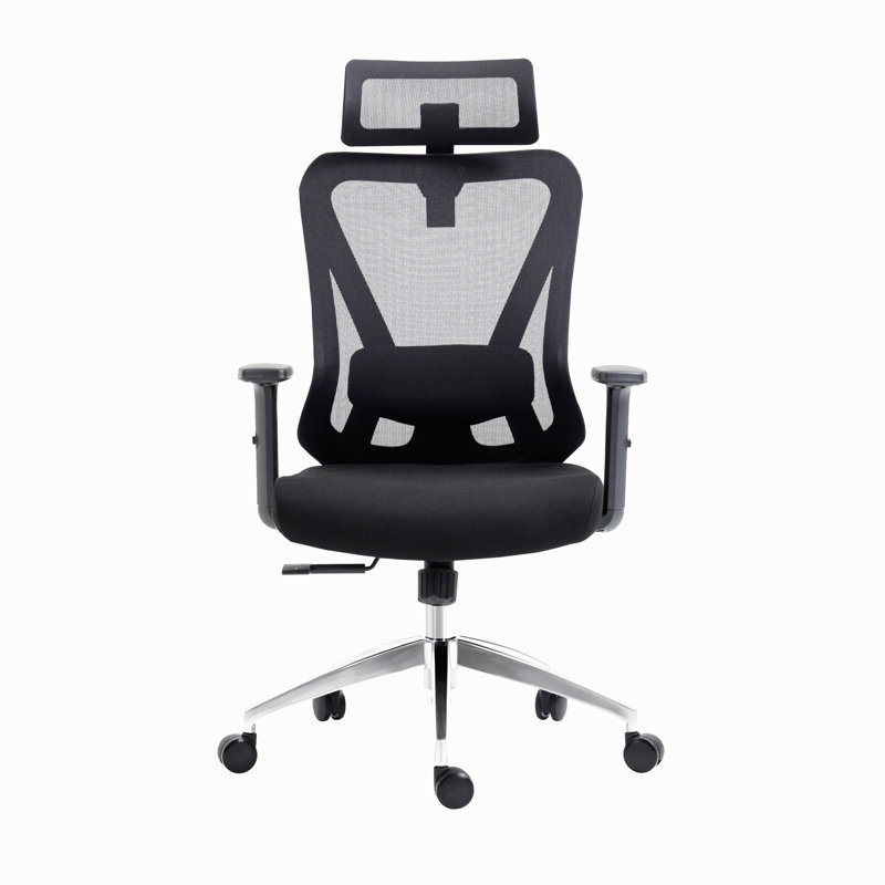 Truly Ergonomic Mesh Office Chair With Headrest & Lumbar Support, Black