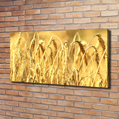 Grain - Wrapped Canvas Print