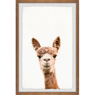 Marmont Hill - Single Picture Frame Print