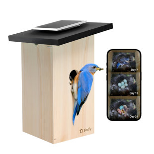 Nichoirs d'oiseaux intelligents pour l'extérieur, Birdfy