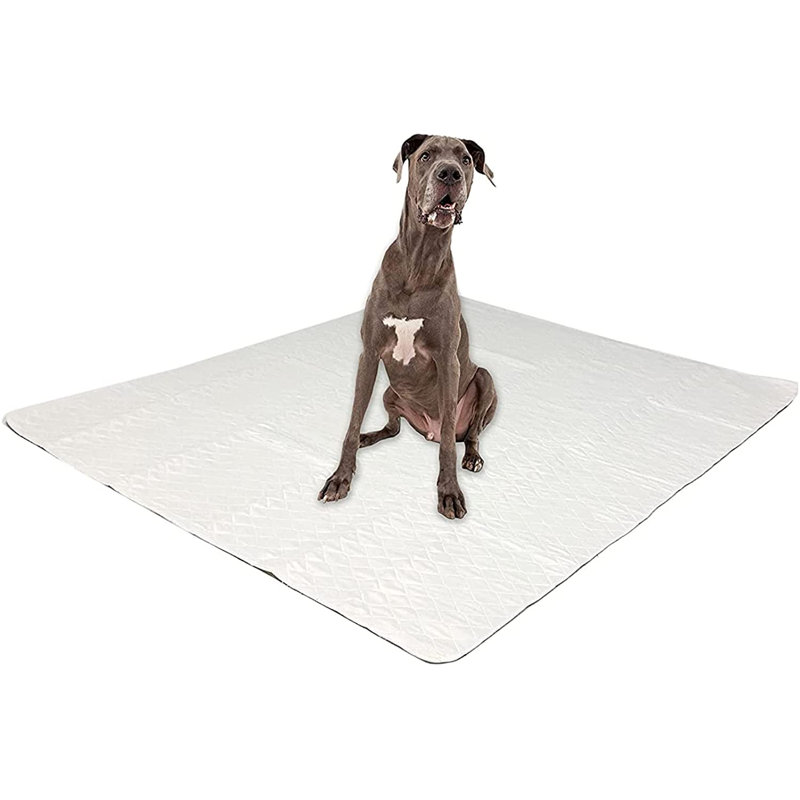 Extra Large White Washable Dog Pee Pads Pack of 3