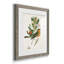 Oiseau antique, botanique et œuf I - ensemble de 2 reproductions d'art sur papier encadré-1329192743-1329192760