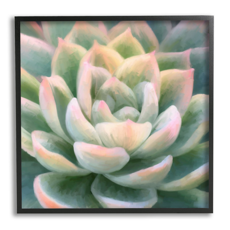 «Green Succulent Petals On Canvas» par Amy Hall, peinture, H 24 po x l 24 po x P 1,5 po, Giclée encadrée noir minuit