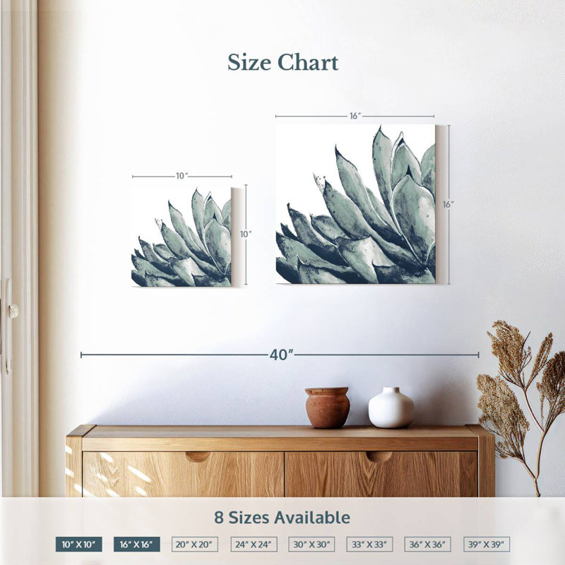 Agave bleu Harnek sur fond blanc I, H 10 po x l 10 po