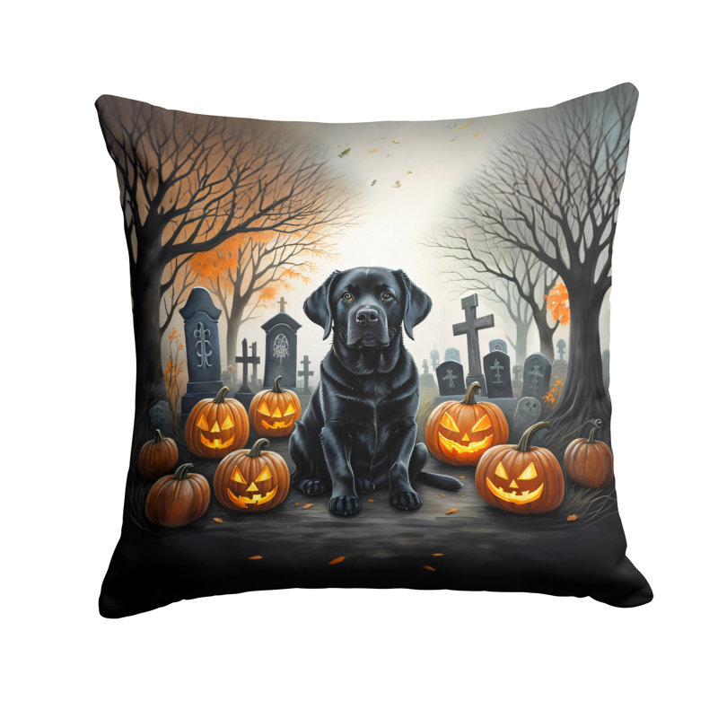 Other/No Pattern Outdoor Throw Pillow, 14" x 14"