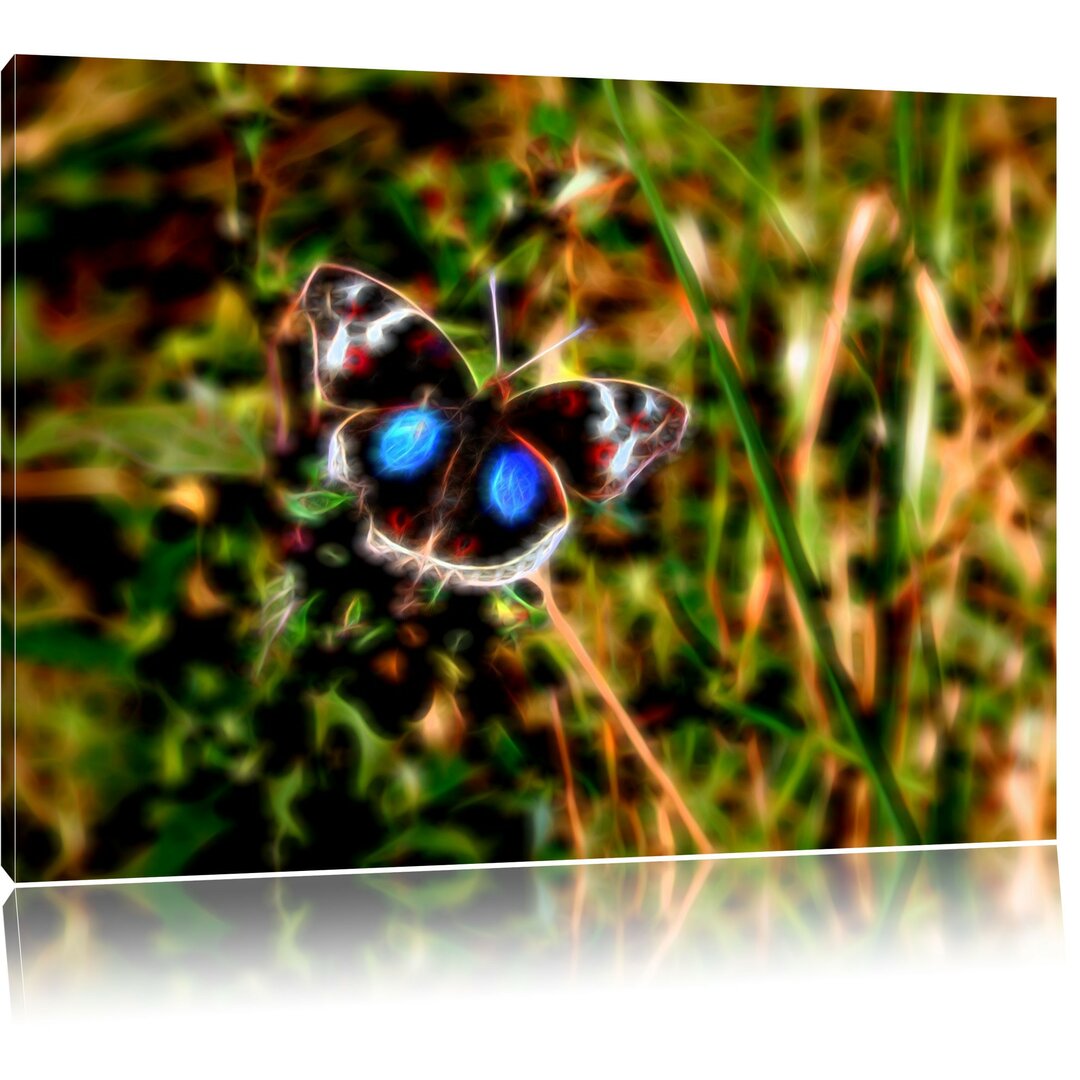 Leinwandbild Schmetterling auf Grashalm in Grün/Braun